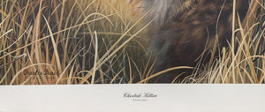 Cheetah Kitten Lithograph | Charles Fracé,{{product.type}}