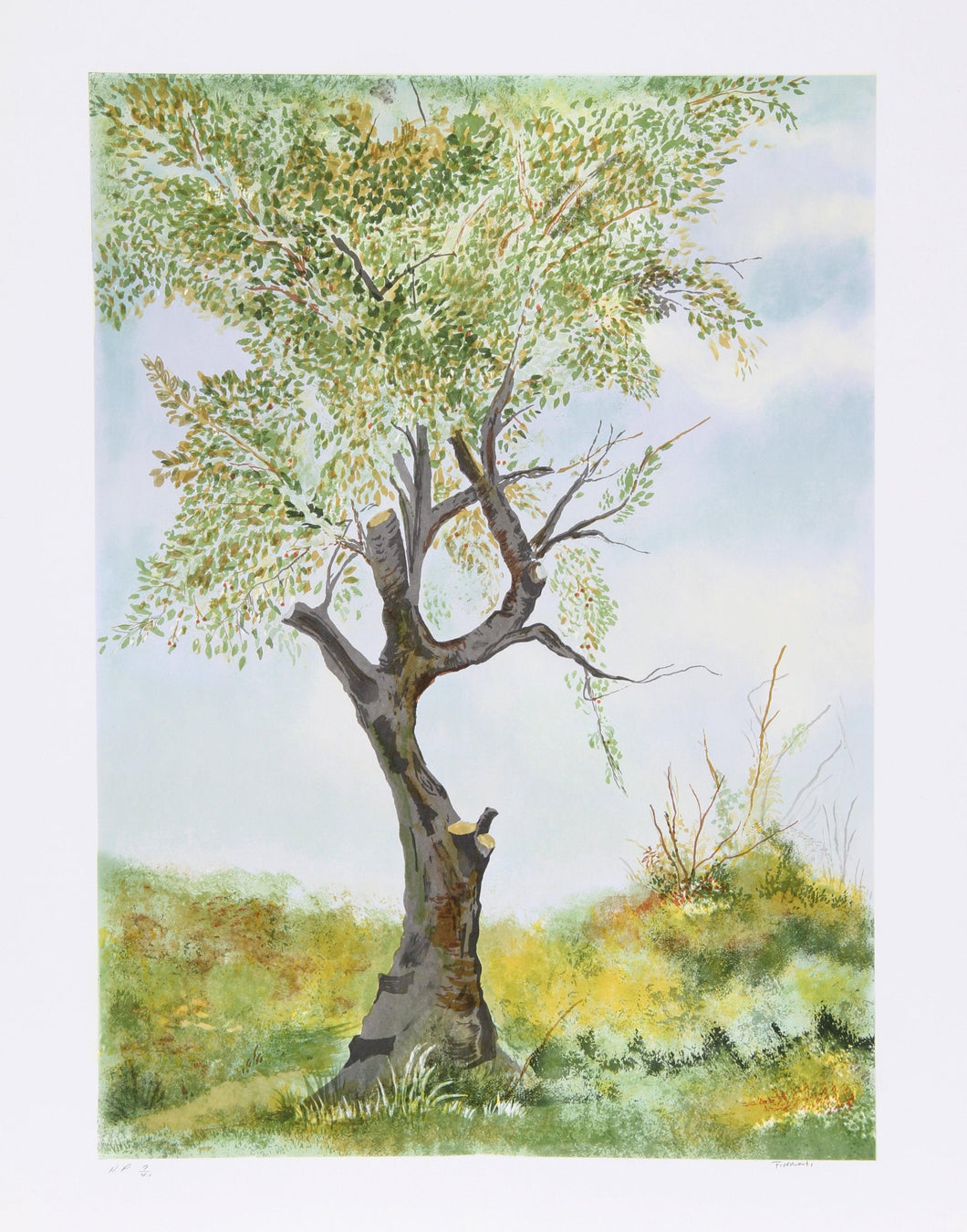 Cherry Tree in Norwood Glen Lithograph | Paul Fioravanti,{{product.type}}