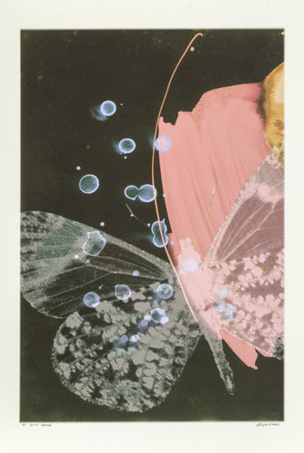 City Mama Digital | Michael Knigin,{{product.type}}