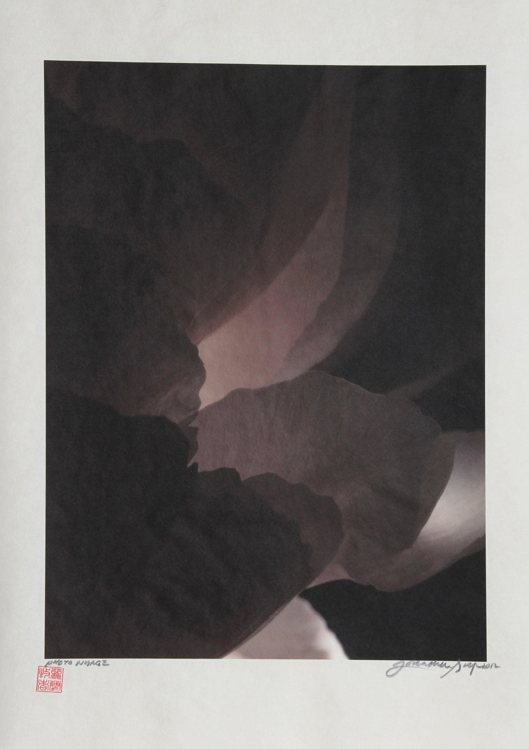 Clam Shell Petals Black and White | Jonathan Singer,{{product.type}}