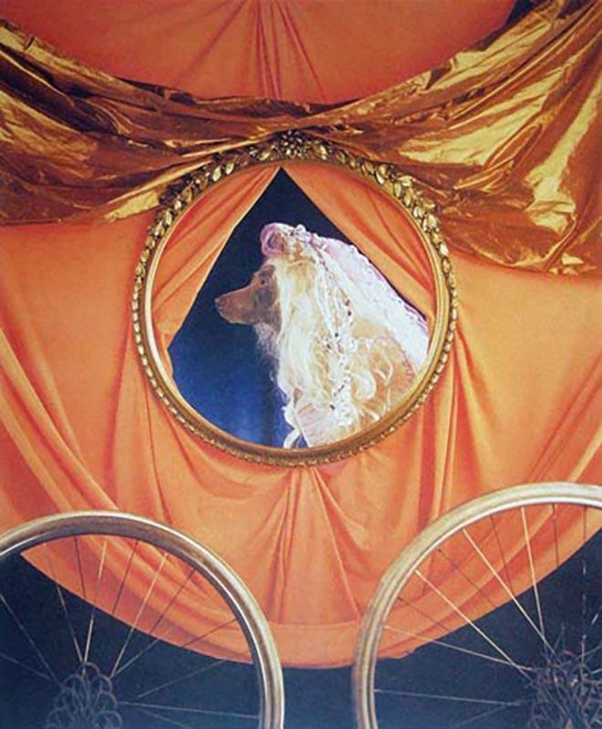 Coach from the Cinderella Portfolio Lithograph | William Wegman,{{product.type}}