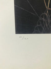 Coach from the Cinderella Portfolio Lithograph | William Wegman,{{product.type}}