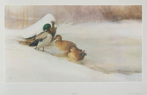 Cold Duck Lithograph | Tom Sander,{{product.type}}