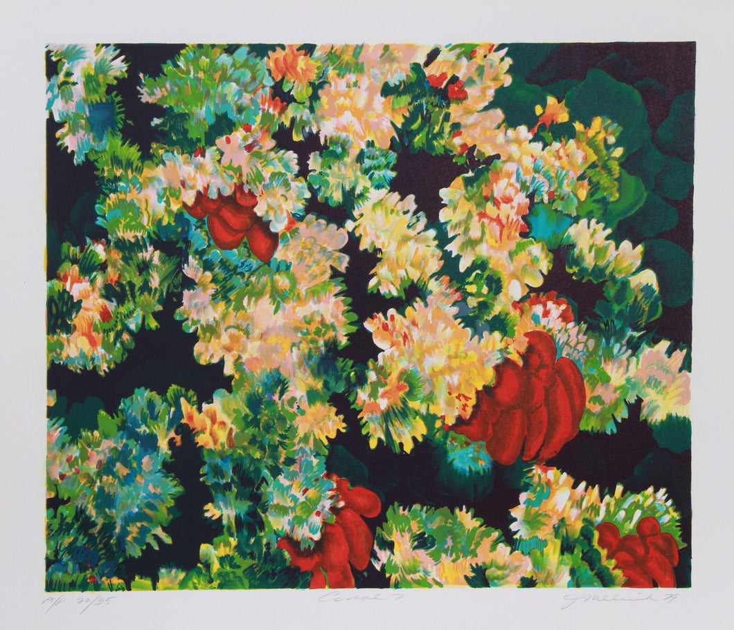 Coral 7 Lithograph | Joan Melnick,{{product.type}}