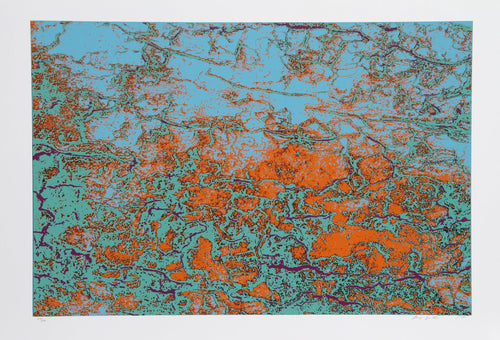 Coral Gem Screenprint | Max Epstein,{{product.type}}