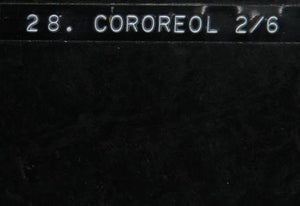 Cororeol Metal | Antoine Poncet,{{product.type}}