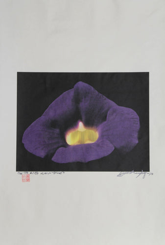 Costa Rican Color | Jonathan Singer,{{product.type}}