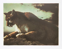 Cougar Lithograph | Nancy Glazier,{{product.type}}
