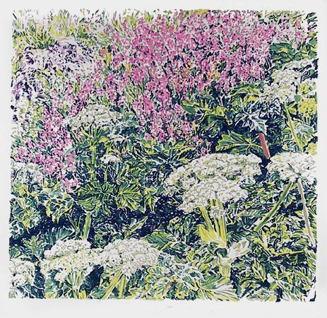 Cow Parsnip Screenprint | George Chemeche,{{product.type}}