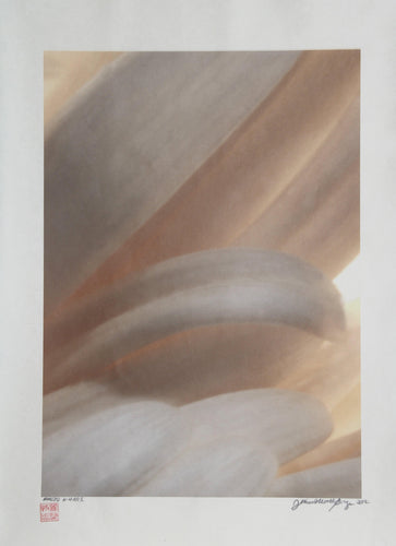 Cream Petals Color | Jonathan Singer,{{product.type}}