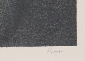 Curtains and Leaves Lithograph | Robert Kipniss,{{product.type}}