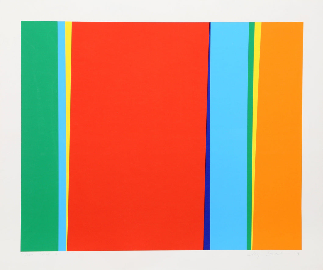 Cycle 3 Screenprint | Jay Rosenblum,{{product.type}}