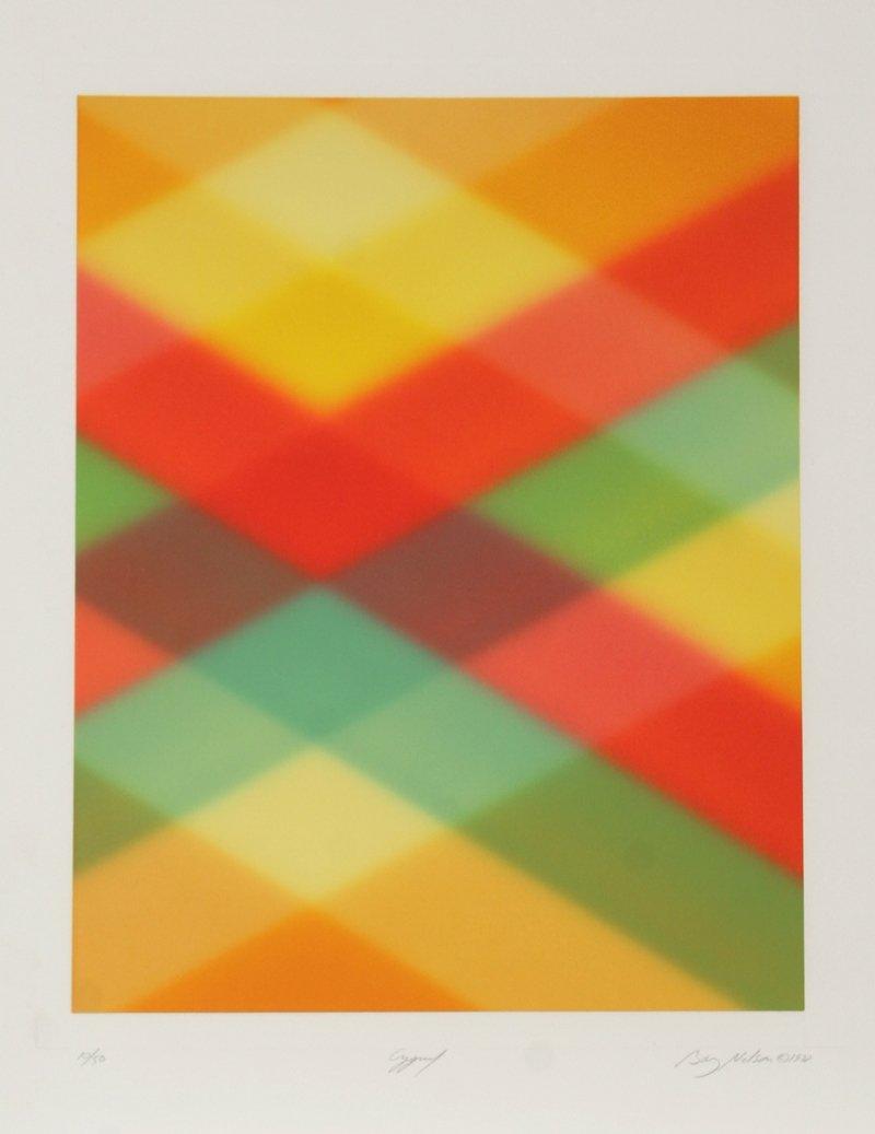 Cygnus Etching | Barry Nelson,{{product.type}}