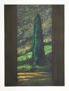 Cypress Etching | Richard Ballard,{{product.type}}