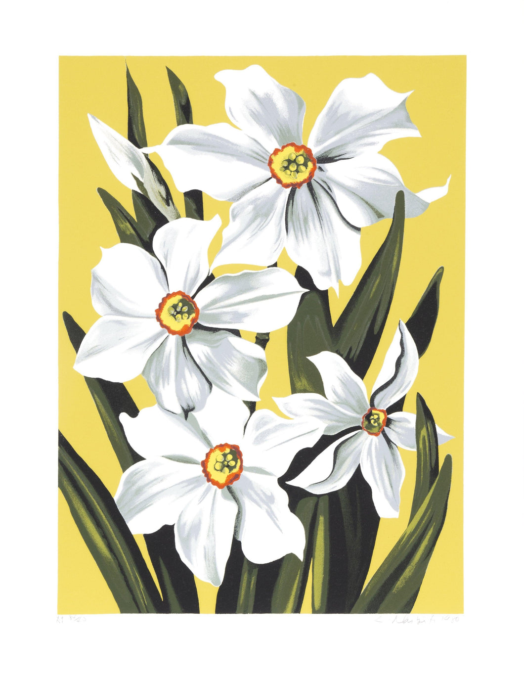 Daffodils Screenprint | Lowell Blair Nesbitt,{{product.type}}