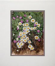 Daisies Watercolor | Joanne M. Garrett,{{product.type}}