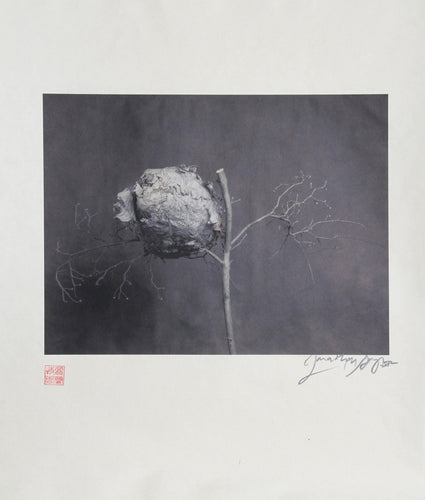 Dead Nest Black and White | Jonathan Singer,{{product.type}}