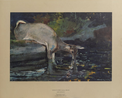 Deer Drinking Poster | Winslow Homer,{{product.type}}