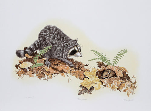 Deer Mouse Lithograph | Chris Forrest,{{product.type}}