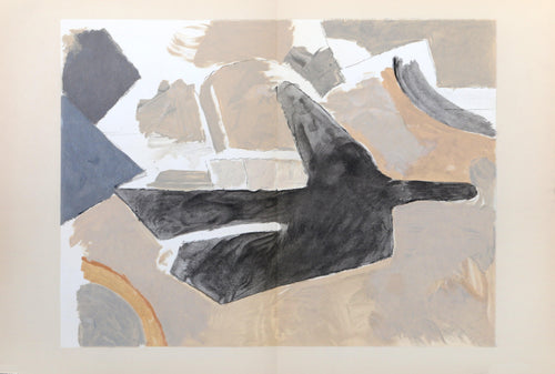 Derriere le Miroir #166 - 2 Lithograph | Georges Braque,{{product.type}}
