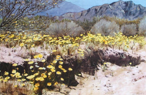 Desert Spring Digital | Edson Newquist,{{product.type}}
