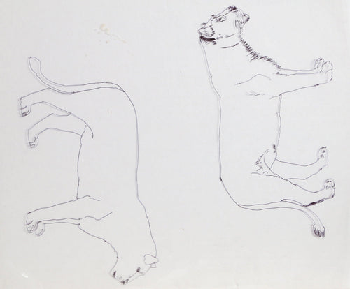 Double Lions Comic Book / Animation | Unknown Artist,{{product.type}}