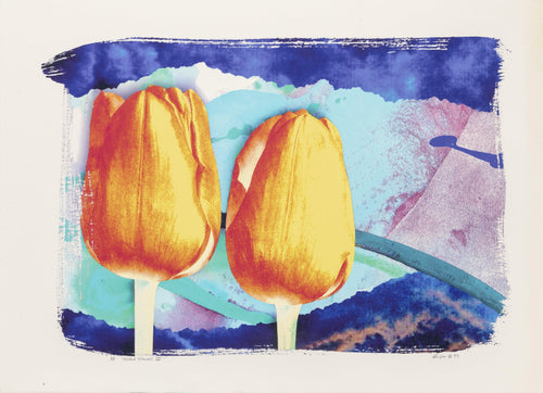 Double Stakes IV Digital | Michael Knigin,{{product.type}}