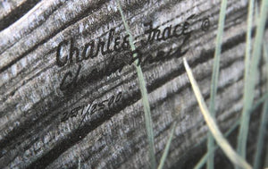 Double Trouble Lithograph | Charles Fracé,{{product.type}}