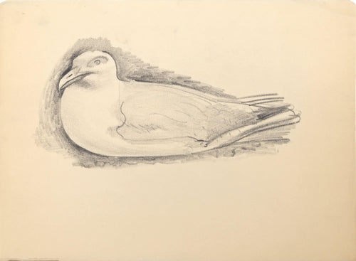 Dove Pencil | Benjamin Benno,{{product.type}}