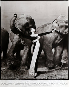 Dovima with Elephants poster | Richard Avedon,{{product.type}}