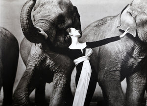 Dovima with Elephants poster | Richard Avedon,{{product.type}}