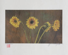 Dutch Series (Sunflowers) Color | Jonathan Singer,{{product.type}}
