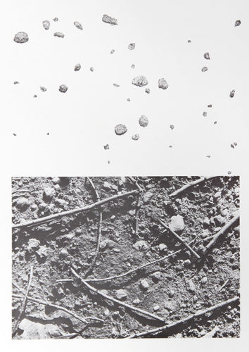 Earth Series 1 Lithograph | Alan Sonfist,{{product.type}}