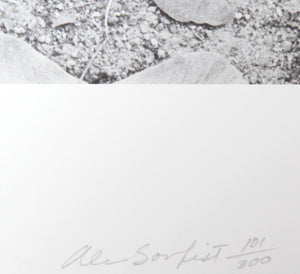 Earth Series 2 Lithograph | Alan Sonfist,{{product.type}}