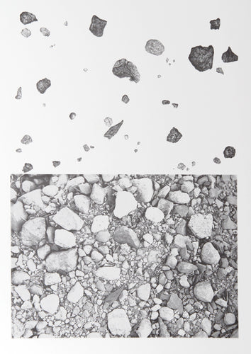 Earth Series 3 Lithograph | Alan Sonfist,{{product.type}}