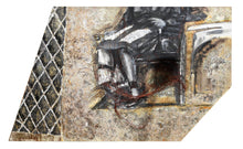 Eclipse/Portrait of Ethel and Julius Rosenberg Oil | Lee Jaffe,{{product.type}}