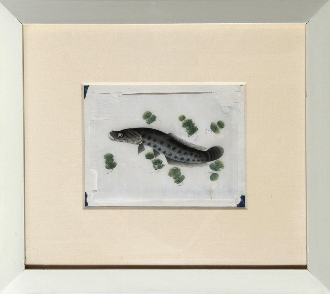 Eel Watercolor | Unknown, Japanese,{{product.type}}