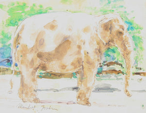Elephant Watercolor | Marshall Goodman,{{product.type}}