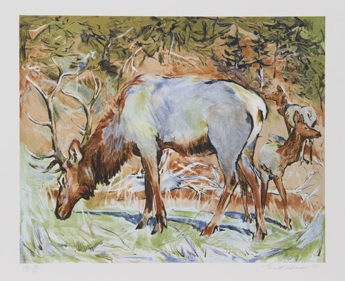 Elk Lithograph | Everett E. Hibbard,{{product.type}}