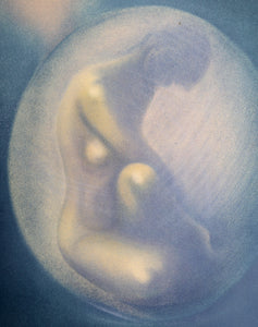 Embryo Lithograph | Unknown Artist,{{product.type}}