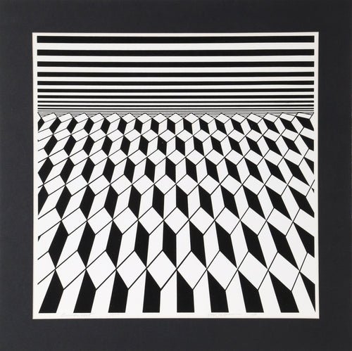 Environment (Black) Screenprint | Roy Ahlgren,{{product.type}}