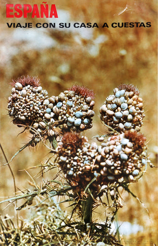 Espana - Viaje con su Casa a Cuestas Poster | Travel Poster,{{product.type}}