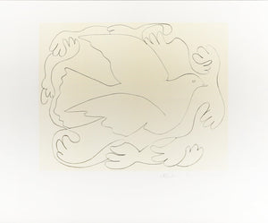 Etudes de Mains et Colombe II Lithograph | Pablo Picasso,{{product.type}}