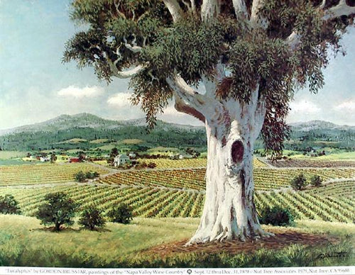 Eucalyptus Poster | Gordon Brusstar,{{product.type}}