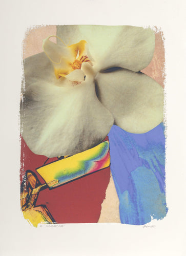 Exclusively Mine Digital | Michael Knigin,{{product.type}}