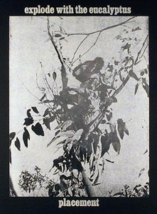 Explode with the Eucalyptus Etching | Les Levine,{{product.type}}