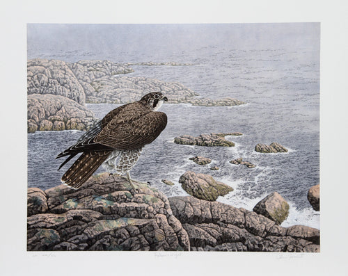 Falcon's Vigil Lithograph | Chris Forrest,{{product.type}}