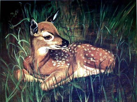 Fawn Lithograph | Maryalice Klammer,{{product.type}}