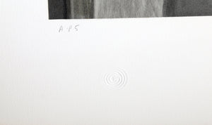 Femme Au Chapeau Gris Lithograph | Pablo Picasso,{{product.type}}