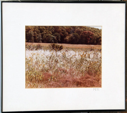 Field Color | Unknown Artist,{{product.type}}